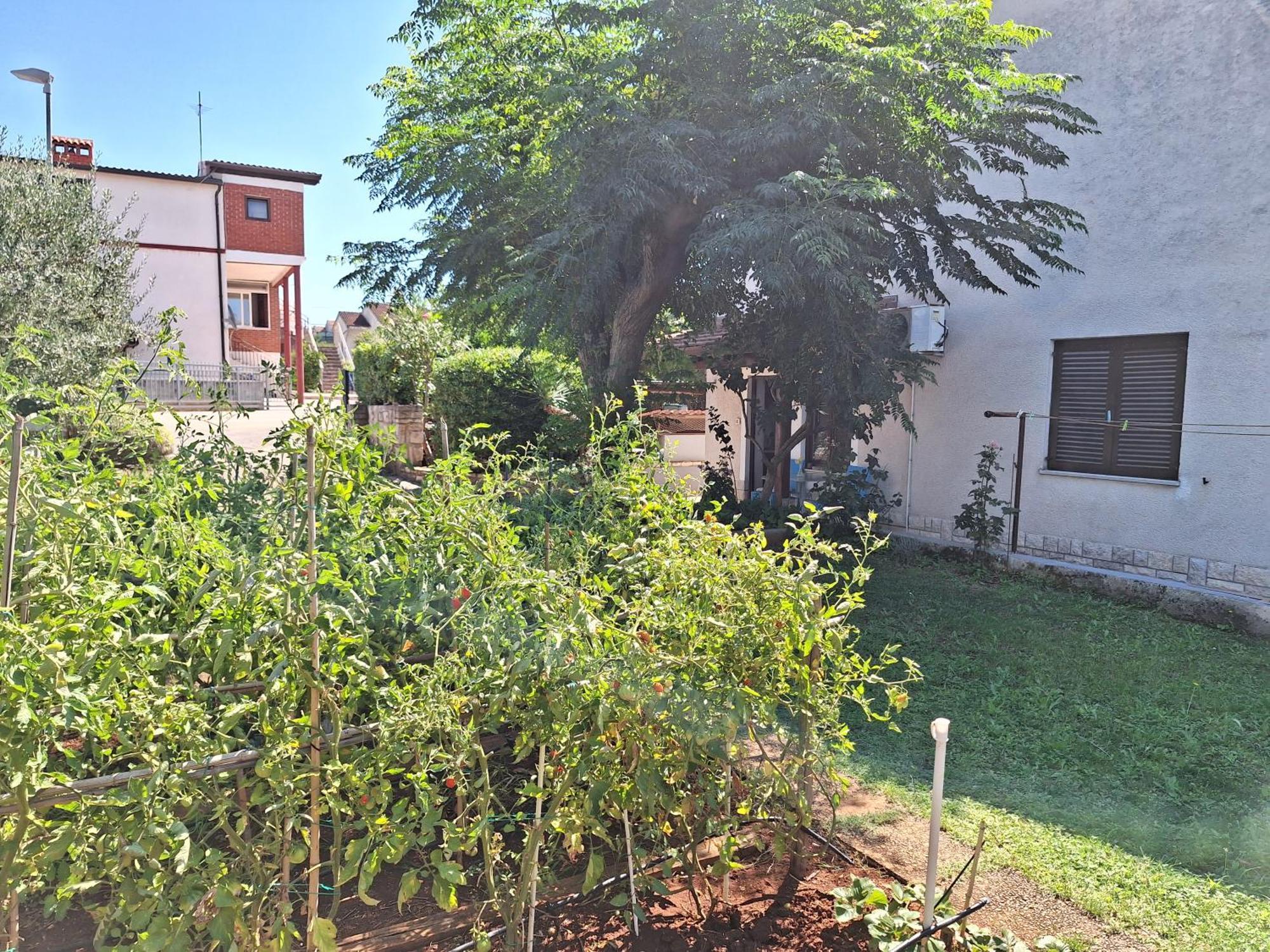 Apartments Reinić Novigrad Istria Exterior foto