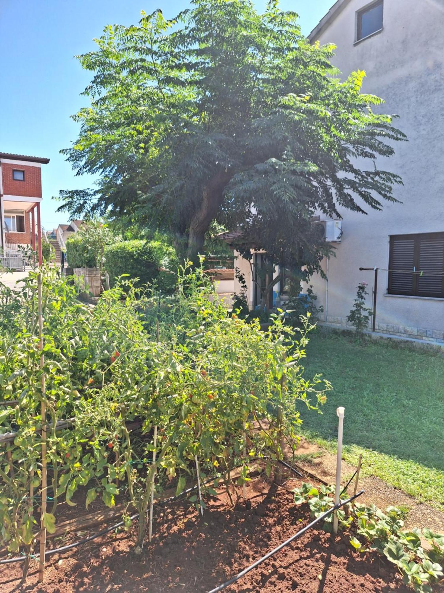 Apartments Reinić Novigrad Istria Exterior foto